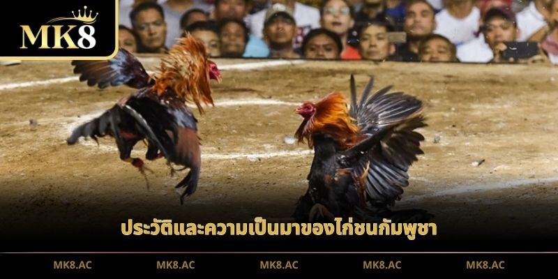 ประวัติและความเป็นมาของไก่ชนกัมพูชา